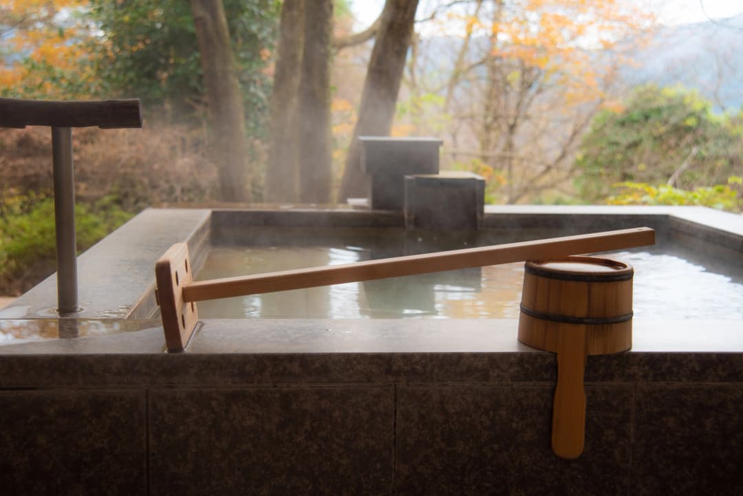 Tokyo to Hakone: Mountains & Onsen