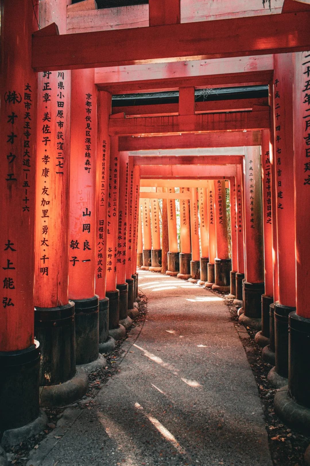 Kyoto Day: Tea & Geisha Grace